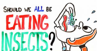 Video reveals why we should all start eating insects
