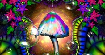 Science video explains how and why magic mushrooms cause hallucinations