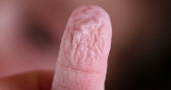 Science video explains why our fingers and toes get all wrinkly underwater