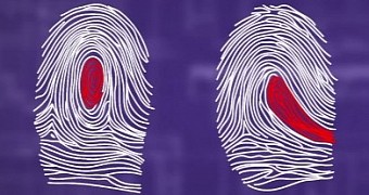 Science video explains how fingerprints form