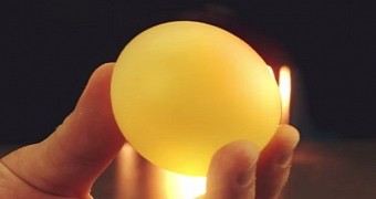 Video reveals what vinegar does to an otherwise ordinary egg