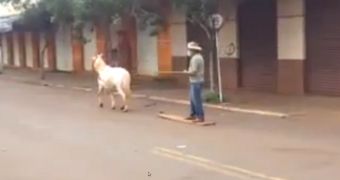 Man travels around town on a horse-drawn wood board