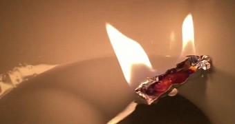 Goldfish set ablaze before being flushed down the toilet