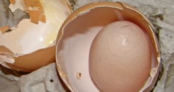 A man finds an egg within an egg
