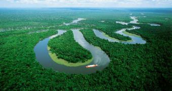 Video discusses Samsung's influence in the Brazilian Amazon, shows how the company uses technology to help locals
