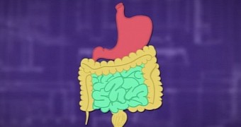 Stomach growling is caused by air in the digestive tract
