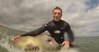 Video shows seal playing with a surfer