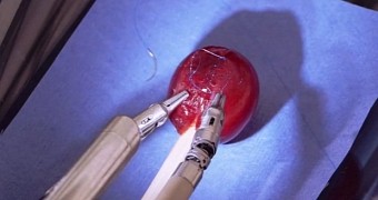 Cool video shows surgery robot operating on a grape