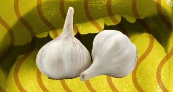 New American Chemical Society video explains why garlic gives people bad breath