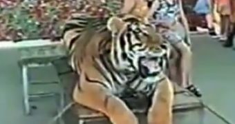 Distrubing footage shows a tiger being hit with a stick and made to sit for a "photo session"