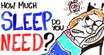 The average human needs to sleep about 7 to 8 hours daily, video explains