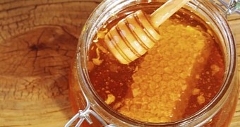 Watch: Video Explains How and Why Bees Make Honey