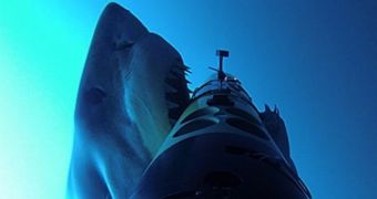 Video shows great white sharks attacking an underwater vehicle