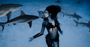 Stunning footage shows woman swimming and dancing with tiger sharks