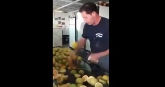 Man has insane lemon cutting skills, would make a great bartender