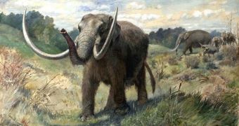 Reconstruction of a mastodon, common presences in many habitats before the Younger Dryas wiped them out