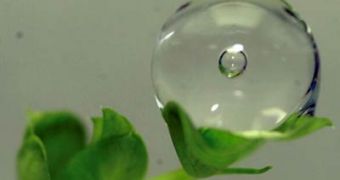 The fluid mechanics of a water droplet can get complicated