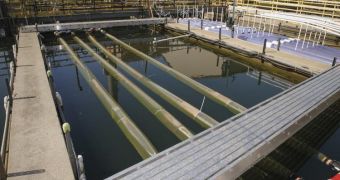 The NASA OMEGA floating photobioreactor prototype in a seawater tank at the Southeast wastewater treatment plant in San Francisco