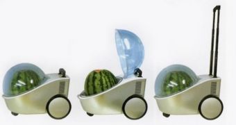 Watermelon Stroller Refrigerates and Makes Carrying a Melon Easier