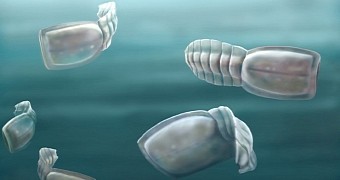 We Are Related to a Bunch of 500-Million-Year-Old Blind Water Creatures