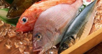 Specialists recommend that a ban on fishing in the high seas be implemented to guarantee future food security