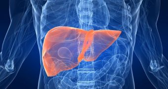 Bariatric surgery can help reduce fat deposits in the liver, reverse fibrosis