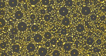 The structure of nanoscale crop circles developing in eutectic gold-silicon alloys finally explained