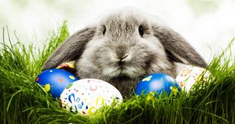 The eggs and the rabbits remain the most common symbols of Easter