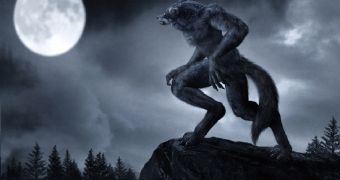 People in Brazil claim a werewolf is now hanging about a local town