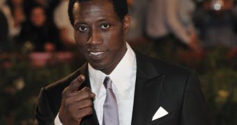 Wesley Snipes to star in martial arts comedy with Chuck Norris