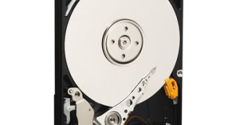 New WD Scorpio Blue drives now provide 500GB of storage