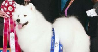 Cruz died after competing in the Westminster Kennel Club Dog Show