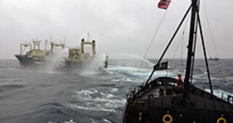 In the freezing waters of Antarctica, Sea Shepherd's flagship Steve Irwin has come under attack from the Japanese fleet, which has used water cannons to keep the environmentalists at bay