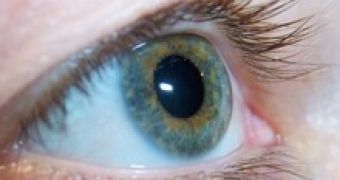What Treatment Can You Get for Eye Allergies
