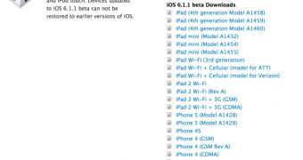 iOS 6.1.1 Beta 1 developer seed