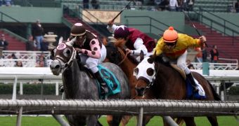 Whipping racehorses is futile and does not make any difference in the race results.