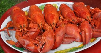 White House boils lobsters, crabs and other shellfish alive, PETA is not happy about it
