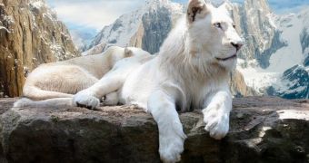 White lions are born at Ukraine zoo