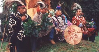 Mapuche Araucans