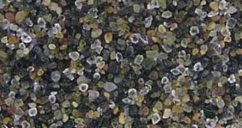 Sand particles magnified. The actual area is 1 square centimeter.