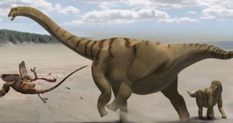 Why Dinosaurs Were So Large
