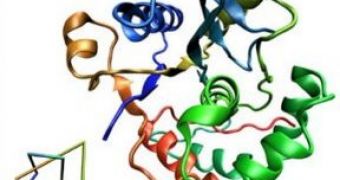 Why Do Enzymes Have Knots?