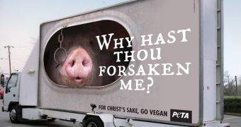 “Why Hast Thou Forsaken Me?” Pig Asks in New PETA Billboard