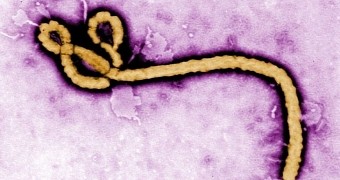 There is nothing funny about the Ebola virus