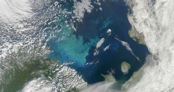Satellites image showing a phytoplankton bloom taking place in the Barents Sea