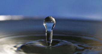 Vasopressin may regulate our body's need for water during the night