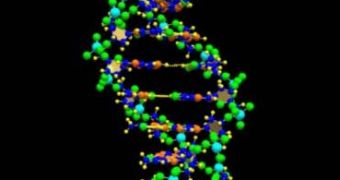 The human genome