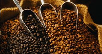 Wild Arabica coffee could become extinct within the following 70 years