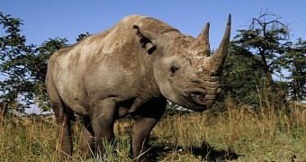 Rhinos only attack people if they feel threatened