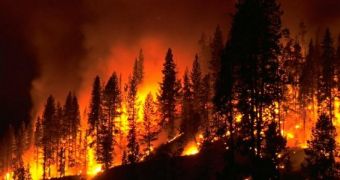 New computer model is capable of predicting the evolution of wildfires